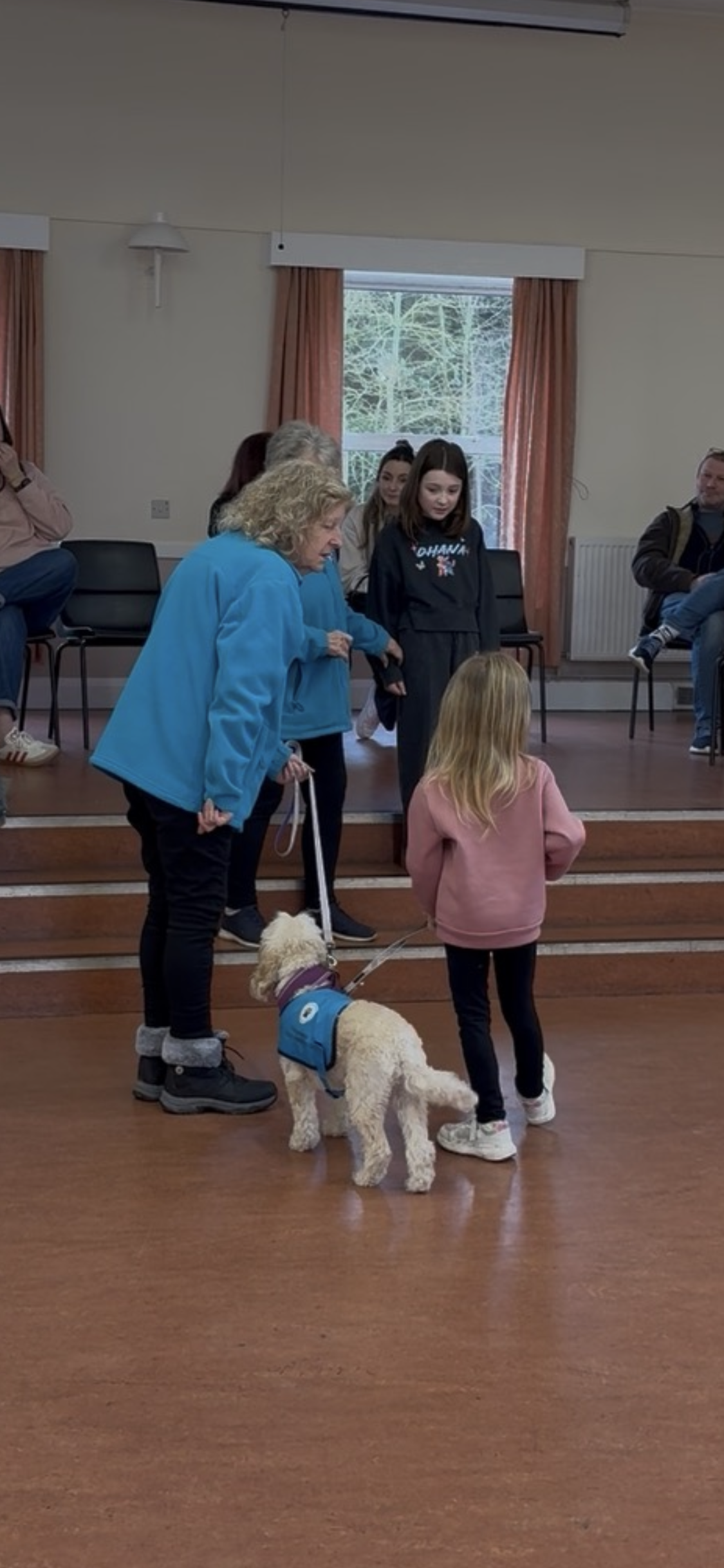 Handler introducing a cockerpoo in blue vest to a young girl and teenager near the village hall stage