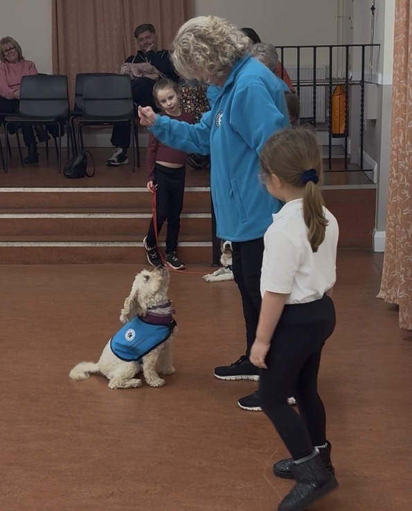 Handler demonstrating a cockerpoo sitting in blue vest while two girls watch during a cynophobia class