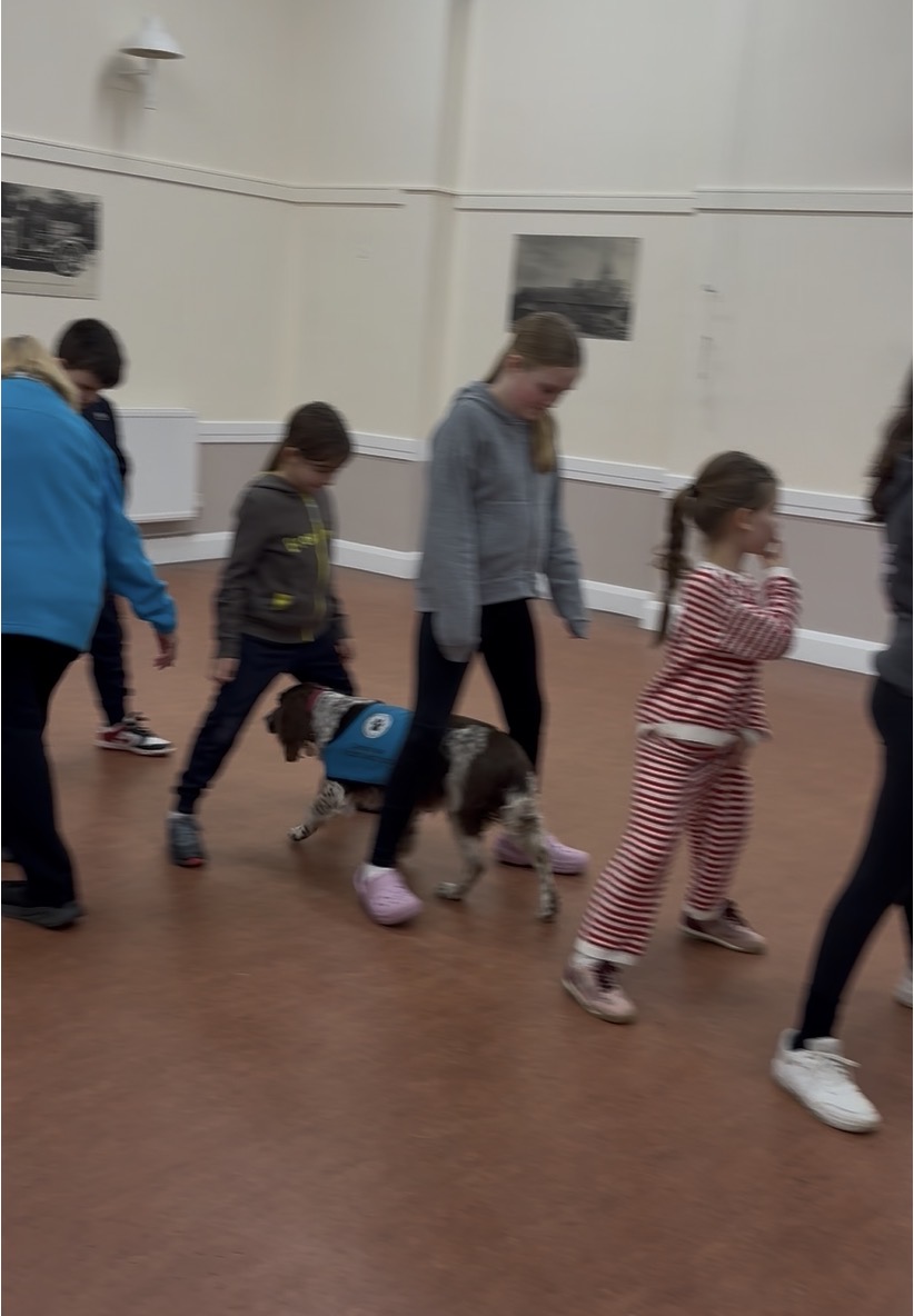 Group of children walking alongside a handler with a spaniel in blue vest through the village hall