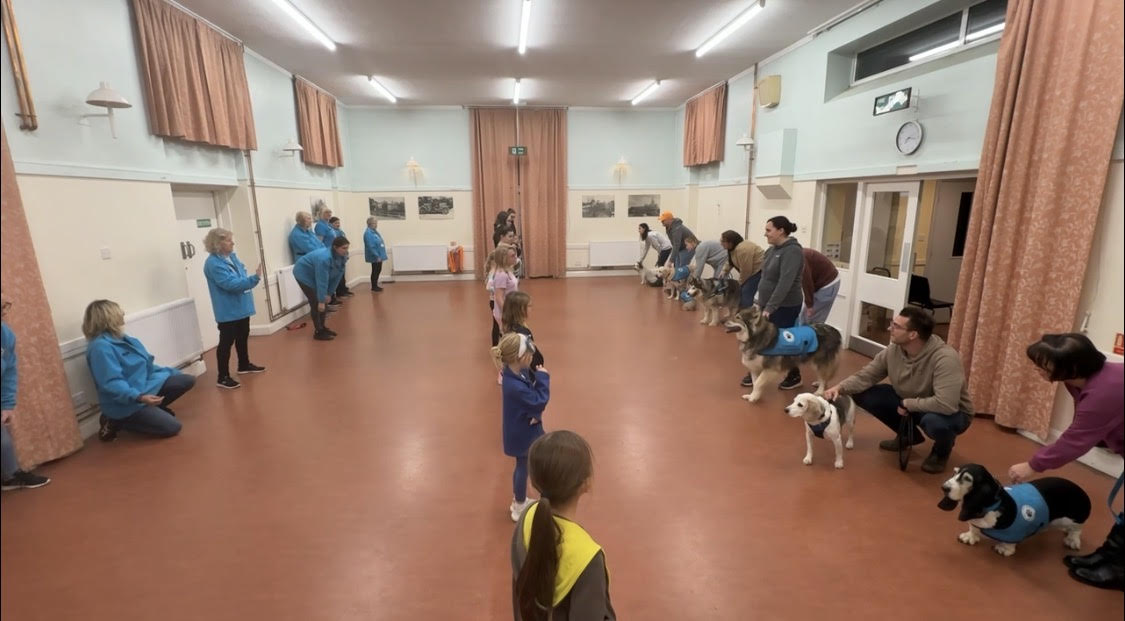 Our dogs in class